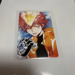 天野明展 物販特典 購入特典 自撮り風トレーディングカード 超ツナ 沢田綱吉