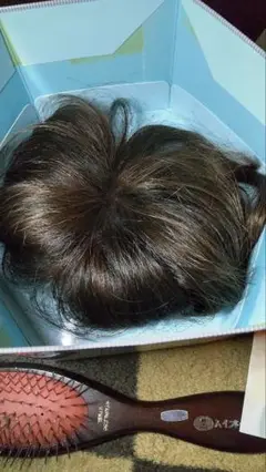 ハイネット ウィッグ