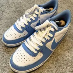 美品⭐︎NIKE TERMINATOR LOW ユニバーシティーブルー/ホワイト