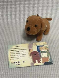 きょうのわんこ　平成レトロ　ぬいぐるみキーホルダー19