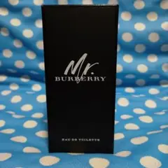 ミスターバーバリー 50m Mr. BURBERRYほぼ未使用11月5日購入品