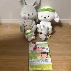 うさぎのぬいぐるみセット 植物図鑑 映画パンフレット