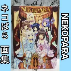 2025年最新】ネコぱら ovaの人気アイテム - メルカリ