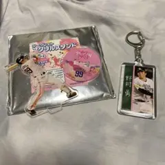 ソフトバンクホークス 野村勇