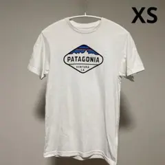 パタゴニア　フィッツロイクレストTシャツ　白　XSサイズ　patagonia