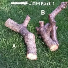 Item thumbnail for item be6d5a2a-4a9f-4ca6-8a86-84615b390a71