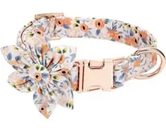 Item thumbnail for item c8258ff0-0ac6-4cfc-9edf-b9690e22594d