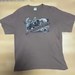 GILDAN XL ブラウン Tシャツ MT. McKinley, Alaska