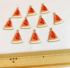 スイカ　エナメルチャーム　10個