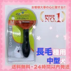 Item thumbnail for item 49e11948-c494-458b-902f-938d6b7fbeb2