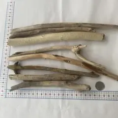 流木 8本セット 自然な木の色