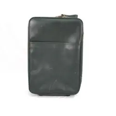 *現状品*LOUIS VUITTON タイガ ペガス55 M23264