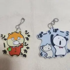 Item thumbnail for item bd50e661-861a-461f-bd0f-95ab1c493925