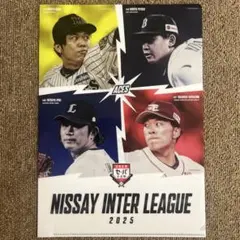 阪神タイガース　日本生命セ・パ交流戦グルメフェア  限定クリアファイル　才木浩人
