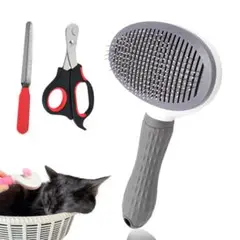 Item thumbnail for item ef82344e-4227-46c4-bb5c-770fa9ae1d36