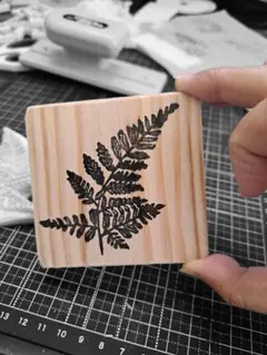 手彫りシダの消しゴムはんこ サイズ：約8cm---