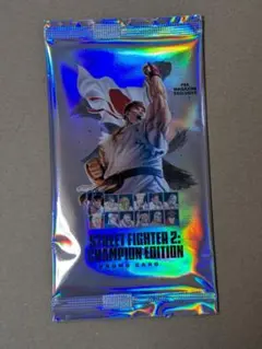 STREET FIGHTER 2 CHAMPION EDITION PROMO