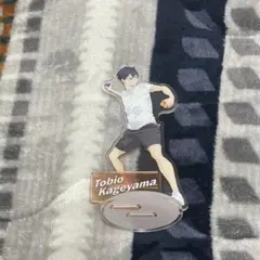 ハイキュー 影山飛雄 水遊び アクリルスタンド