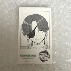 WIND BREAKER ウィンブレ ナンジャタウン 蘇枋隼飛