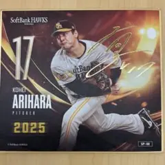 ソフトバンクホークス mini色紙 レア 有原投手