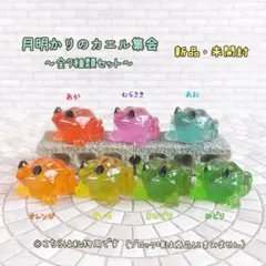 月明かりのカエル集会【全7種類セット】ガチャ