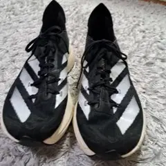 Item thumbnail for item 2550b41f-a895-4af0-8fed-bf1e0a48951b