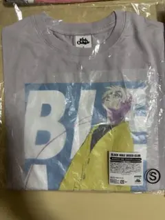 Item thumbnail for item 83157b3c-b337-426a-b81d-c744efad989b