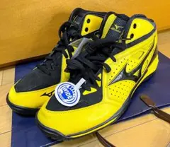 Item thumbnail for item 556adc01-370b-4e2d-85da-8591c87f5d7d