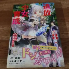 冒険者パーティーを追放された回復士の少女を拾って育成したら 3