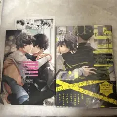 2ndバージンのじょうずな捨て方 漫画 冊子 ペーパー付 ずんだ餅粉