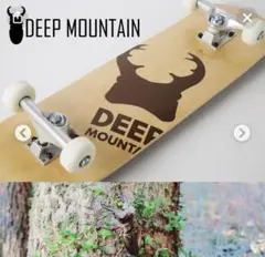 《新品》DEEP MOUNTAINコンプリート7.75×31.25 #4 NT