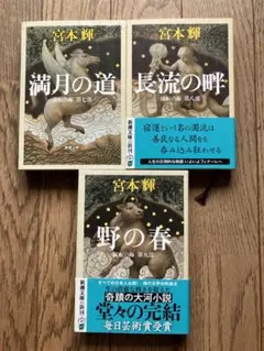 野の春 流転の海 第九部他第七部第八部