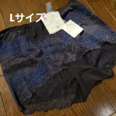 ワコール 美ショーツ 骨盤サポート Lサイズ