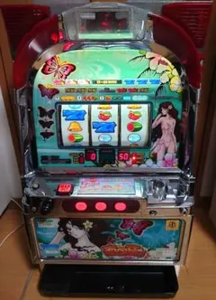 美品 南国育ち 人気機種 沖スロ 音量調整可 メダル不要 パチスロ実機 蝶パネル 楽天市場】《家庭用パチスロ》南国育ち ☆オリンピア☆コイン