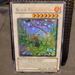 2025年最新】ブラックローズドラゴン ゴーストの人気アイテム