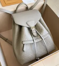 Louis Vuitton モンスリPM モノグラムアンプラント