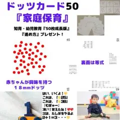 【知育玩具０歳～6歳】　家庭保育ドッツカード５０ (^^♪