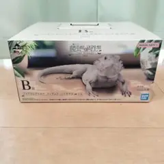 一番くじ 爬虫類＆両生類　B賞 フトアゴヒゲトカゲ フィギュア ハイポゼロ
