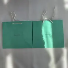 Item thumbnail for item 295ead76-4dfa-4176-8623-b3e3b89f8a65