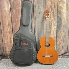 値下げ❗️Shinano SW20 ジャパンビンテージ 弦高低め　弾きやすいです❗️ Shinano SW20 ジャパンビンテージ 弦高低め 弾きやすいです