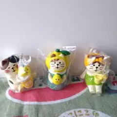 コンコンブル　レモンとゆずっこ