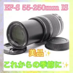 Item thumbnail for item 9cf9296b-7d81-4297-8eb2-2909ce7c9daa