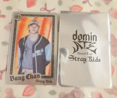straykids スキズ バンチャン dominATE ライブフォトカード