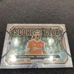 panini soccer EDINSON CAVANI サッカーカード