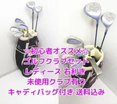 初心者オススメ!未使用クラブ有り レディース ゴルフクラブセット バッグ付 送込