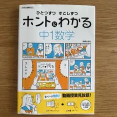 ひとつずつ すこしずつ ホントにわかる 中1数学