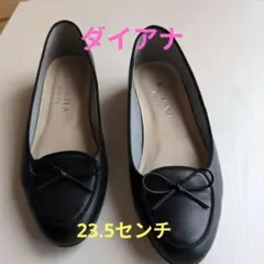 Item thumbnail for item 6b320286-5b58-496d-aa4f-b130aacff268