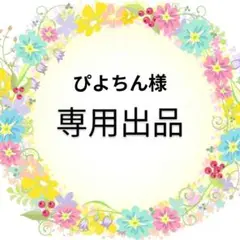 ぴよちん様オーダー商品