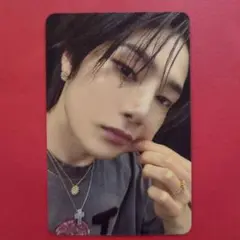 StrayKids アイエン KARMA applemusic 予約特典 トレカ