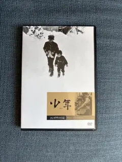 【廃盤】少年 ユンボギの春 DVD